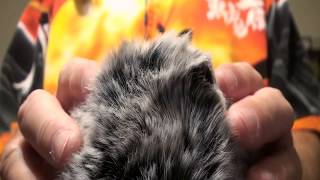 ASMR Furry Mic (Rubbing, tabbing,liquid play) Mix of triggers