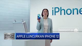 Apple Resmi Luncurkan IPhone 12, Begini Penampakannya