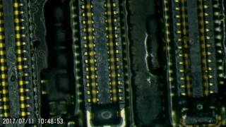 Eakins stereo microscope 14MP HDMI Camera test