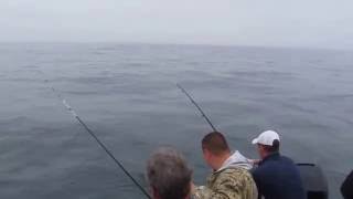 Рыбалка на Днестровской Банке, Чёрное море, Одесса