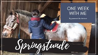 ONE WEEK WITH ME #4| Springtraining mit Muffin !