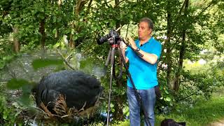 Filmer au D610