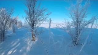 22.02.2016- охота на зайца русака.