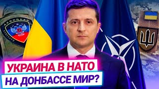 Вступление в НАТО — единственный способ остановить войну на Донбассе?