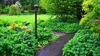 A Summer Walk on the Seattle University Campus