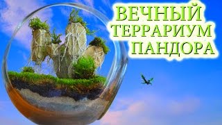 Большой вечный террариум в стиле фентези [ПАНДОРА - АВАТАР]