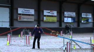 020212 CumLaudeAgility Carla met Wapitie spel