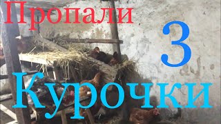 Пропали куры /виталя человек паук/дом в деревне