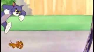Tom and Jerry cartoon - The flying cat