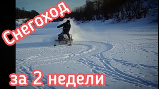 Палочник трубочник