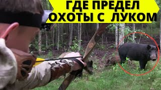 Где придел охоты с луком? / Where is the limit of hunting with longbow?