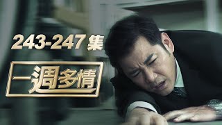 一週多情 EP243-247 | 人倫悲劇！女婿竟為家產氣死岳父！