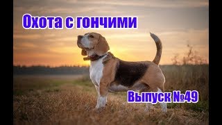 Охота с гончими, выпуск №49 (UKR)