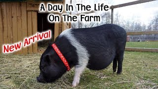 Day in the Life On The Farm