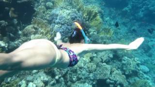 Bikini girl Freedives in stunning spot