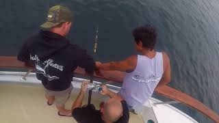 Outrider Aug. 25, 2018 Blue fin Tuna