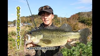 【佐々木勝也】初冬にデカめのルアーだけで釣りをしてみた結果