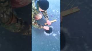 рыбалка 17.12.2016. темрюк (переволока)