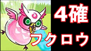 4確フクロウはめっちゃ強い  キチガイが城ドラ実況#242【城とドラゴン】【ファイアー飯塚】
