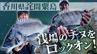 【ニューチヌパワーダッシュ】浅場のチヌをロックオン！香川県詫間のチヌ攻略～前編