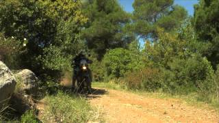 Evia Rally Raid Day3