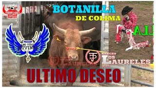 QUE PORRAZO SEÑORES //BOTANILLA DE COLIMA VS ÚLTIMO DESEO//DE RANCHO LOS LAURELES LOS TOROS DIVINOS