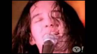 Orangutang - Mr. Cimbalista (( The Rewards of Cruelty - 1993 ))