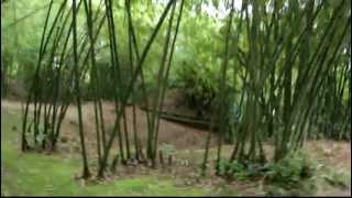 Vinh Moc Tunnels in Quang Tri, Vietnam B - 52 Bomb craters DMZ