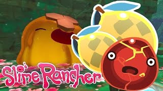 GOT THE PHASE LEMON :: Slime Rancher #9