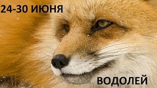 ВОДОЛЕЙ Таро прогноз 24 ИЮНЯ - 30 ИЮНЯ Онлайн гадание