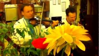 SOKOLY band