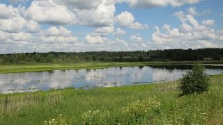 Второй выезд на новое место.(Minelab Safari)