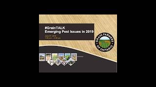 #GrainTALK Emerging Pest Issues 2019