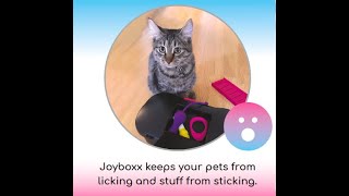 Pets Love Toys, Including Yours!  Joyboxx keeps pets from licking and stuff from sticking.