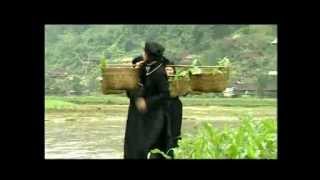 Em Từ Núi Nào Xuống