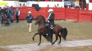 Campeonato de caballos trote y galope. Sibaté Cundinamarca