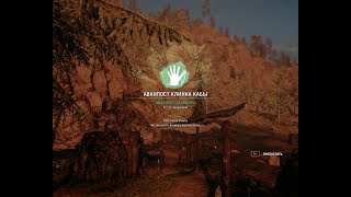 Far Cry Primal Прохождение 8 Война племени Уничтожение Сигнальный костер Сестер Хису