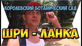БОТАНИЧЕСКИЙ САД В ШРИ-ЛАНКЕ. КАНДИ.