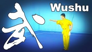 Daoshu Wushu 2012