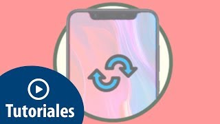 Cómo resetear de fábrica Xiaomi Mi 8 y Mi 8 Pro