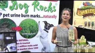 Pet Product Review - Dog Rocks - Superzoo 2014