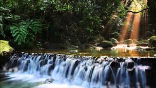 Psy-Baba - Utopia (Ambient, Psychill, Psybient DJ Mix)