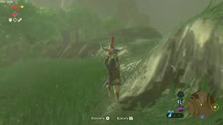 Чем заняться в The Legend of Zelda: Breath of the Wild?