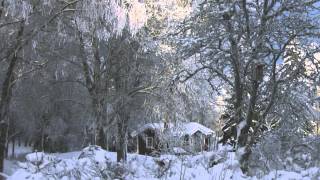 Sankta Lucia - der schwedische Lichterbrauch
