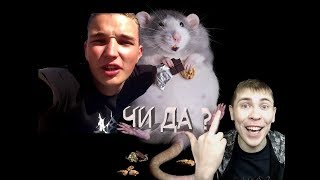 Edward Bil И ЭЛИЗ ДРАКА ? WARFACE СМЕШНЫЕ МОМЕНТЫ