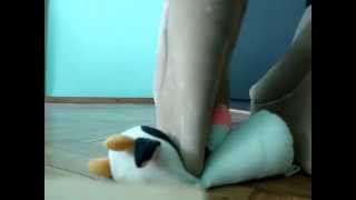 TRAMPLING A TOY