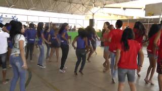 2ª GINEVAN - ANIMAÇÃO