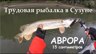Трудовая рыбалка в Сузуне.
