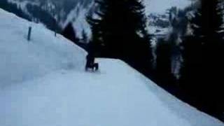 Drusberg Downhill