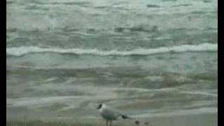Almost A Whisper - Yanni